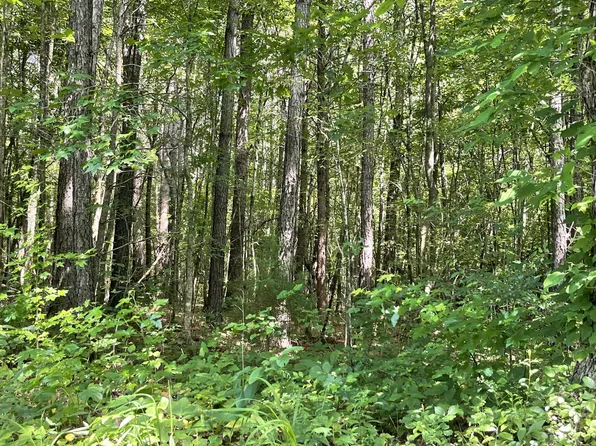 501 County Road 285, Niota, TN 37826