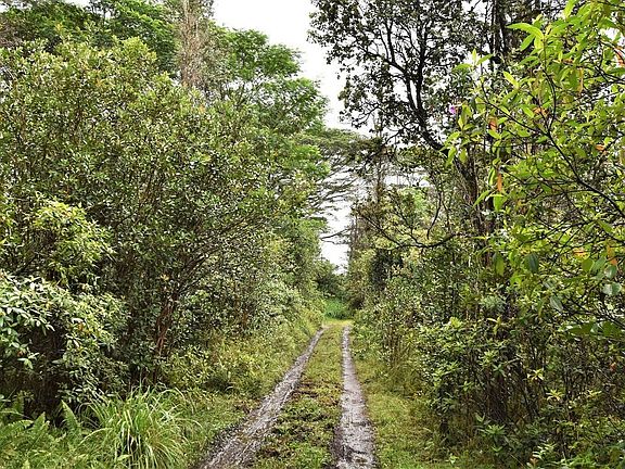 2nd image of King Kamehameha Blvd Lot 16