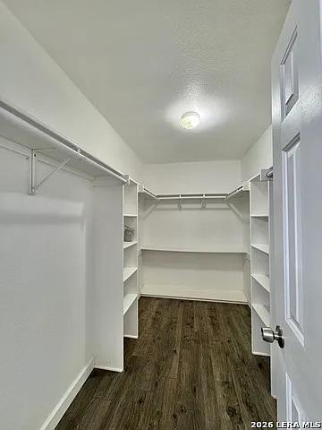 14410 Mangold Way — Photo 6