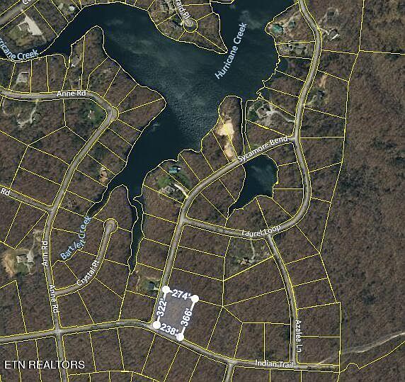 2nd image of Sycamore Bnd