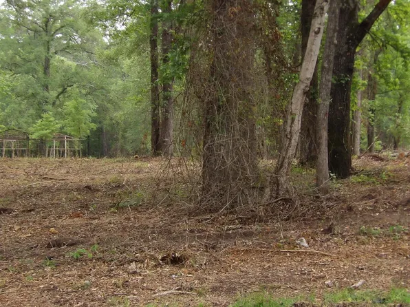 LOT 1 Cooper Lake Rd, Jefferson, TX 75657