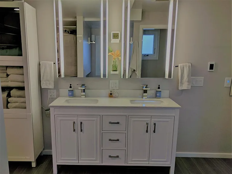 Master Bath: Dual-sink vanity, mirror medicine cabinets