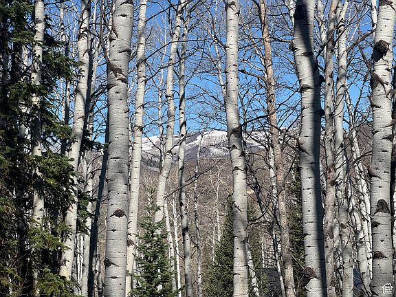 5th image of 662 Red Fir Way