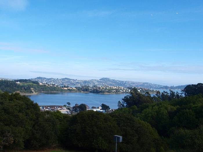 Gorgeous View