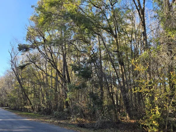 0 Gator Walk, Ridgeville, SC 29472