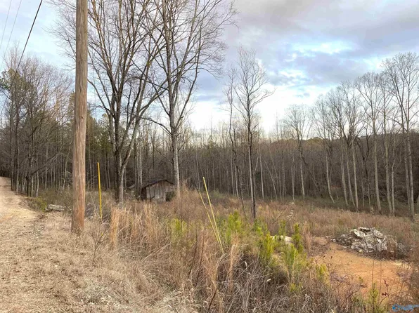 Regal Row, Gadsden, AL 35904