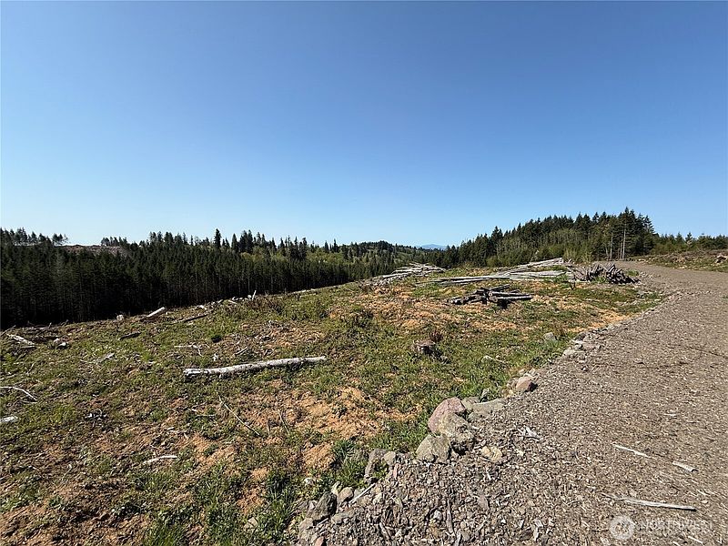 3rd image of 7 xx Centralia Alpha Road