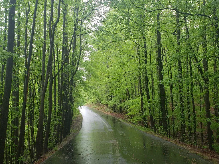 state park walking distance from property