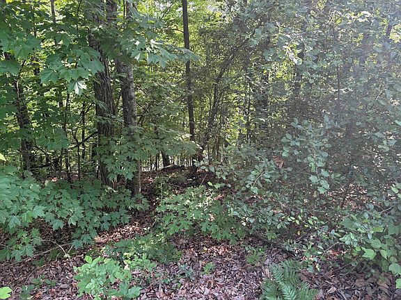 5th image of LOT 46 Dan Knob Dr