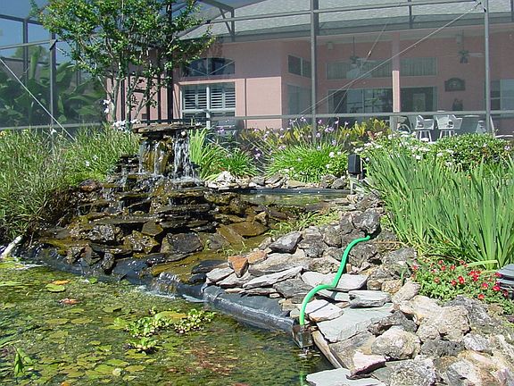 Rear Koi Pond/Gardens