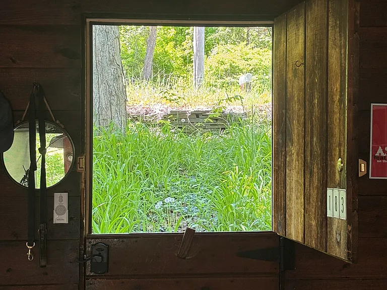 Dutch Door