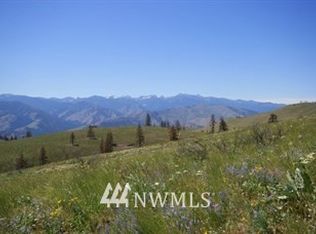 54 Sanctuary Ln, Carlton, WA 98814