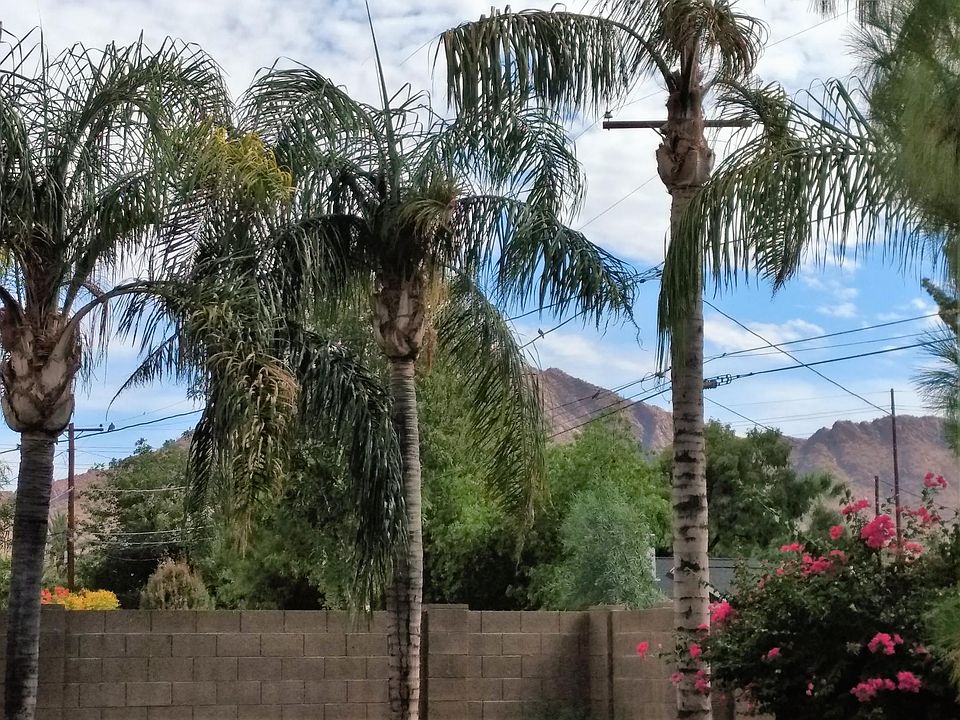 East facing backyard with gorgeous view of Camelback mountai