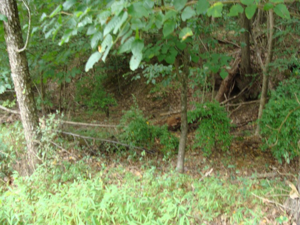 2nd image of Songbird Ln Lot E