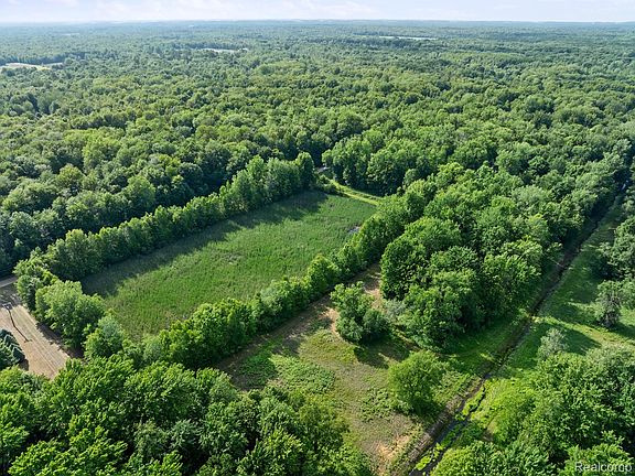 5th image of 101 V/l Natures Trail Rd