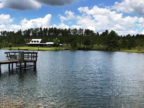feeder and pier on lake