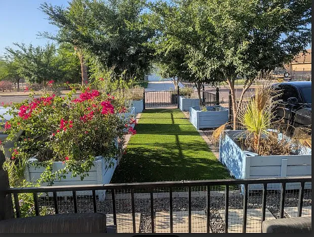 front yard
