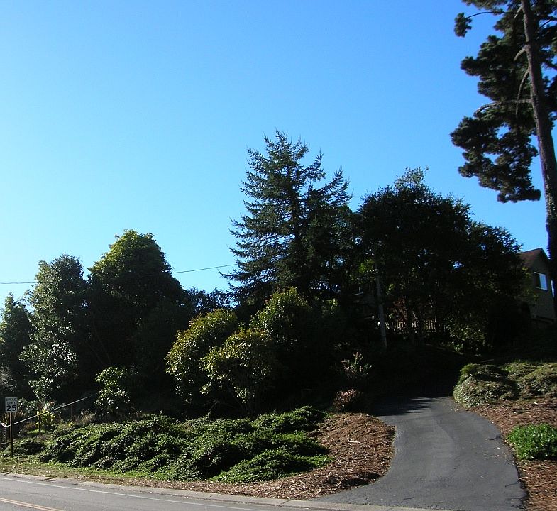 1st image of 670 Club House Dr