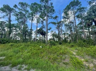1207 Pine Ave, Lehigh Acres, FL 33972
