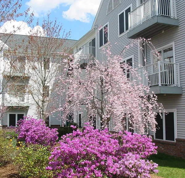 100C Danbury Rd #1K — Photo 16