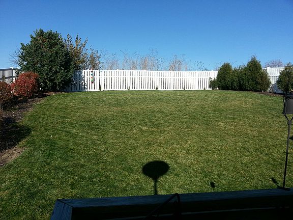 Landscaped Backyard