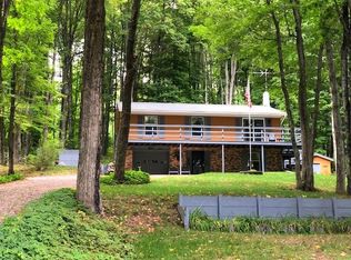 1671 Engman Lake Rd, Skandia, MI 49885
