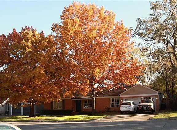 3rd image of 3525 Plymouth Ave