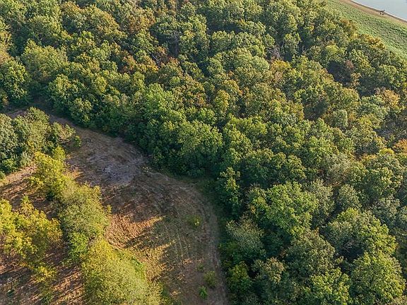 5th image of 23 Hopkins Rd