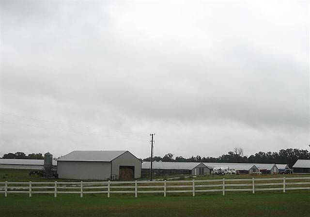 2nd image of 981 County Road 1660