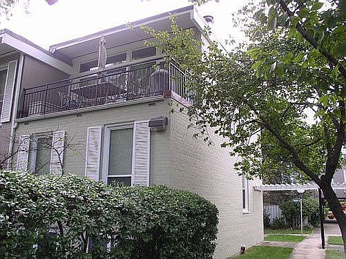 Back/Side View