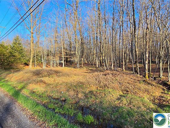 3rd image of Mountain Rd