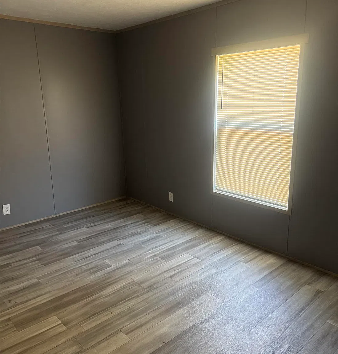 VR111 — Photo 4