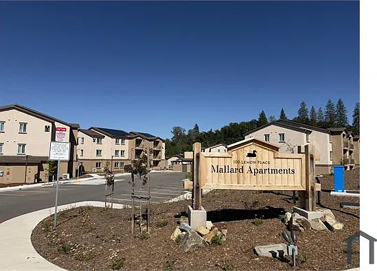 1 bed, 700 sqft, $1,464 — Photo 4