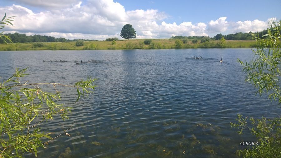1st image of Walden Trl