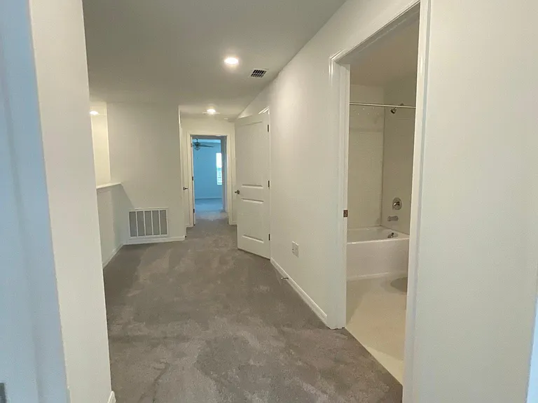 32235 Powderpuff Mimosa Dr — Photo 24