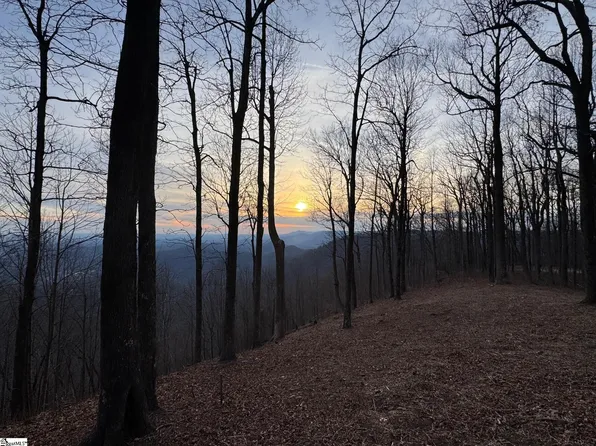 278 Bella Vista Ct #Cvn-011, Zirconia, NC 28790