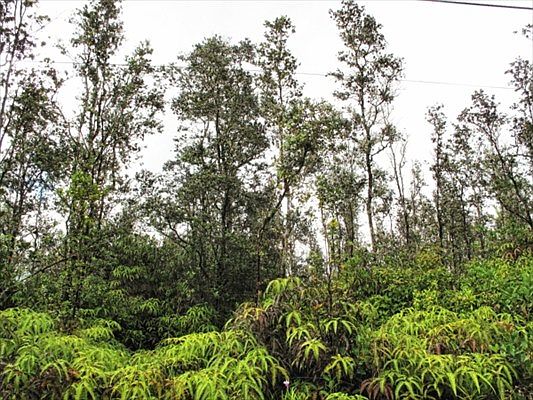 1st image of Road 7 Opeapea Lot 4860