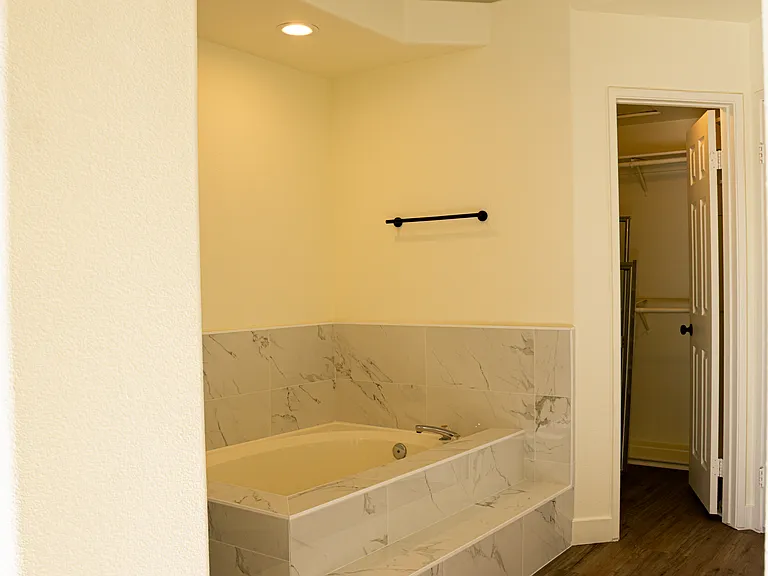 master bathrom and walk-in closet