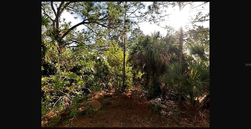 2nd image of Sernice St Lot 37