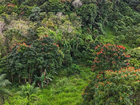 3rd image of 0 Manati Bo Rio Arriba