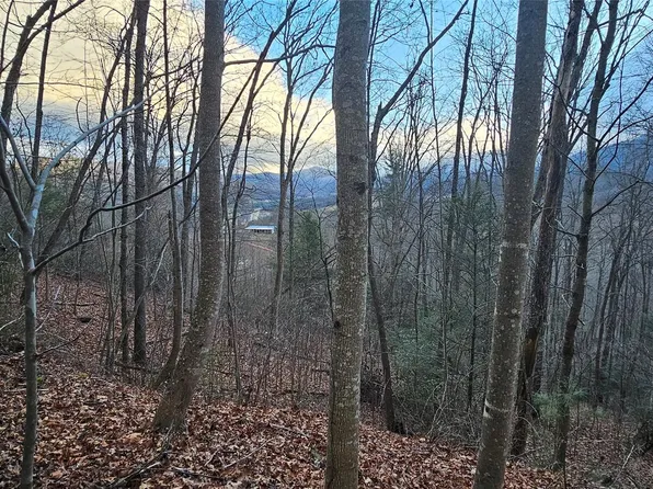 10 Seay Mountain Rd, Waynesville, NC 28785