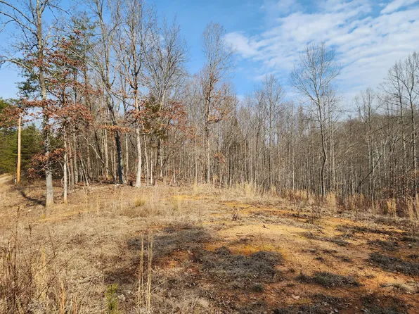 LOT 18 Turkey Run Ln, Wirtz, VA 24184