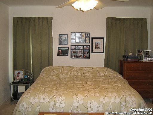 5th image of 4934 Ancient Elm