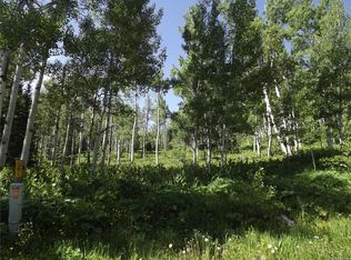 58185 Jupiter Pl, Clark, CO 80428