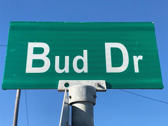 5th image of 128 Bud Dr