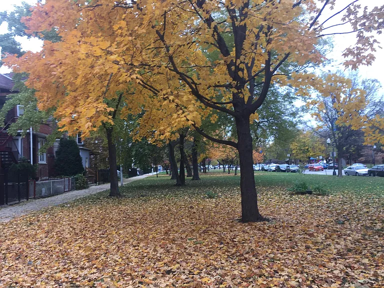 The fall colors are striking as there is a wide variety of trees.