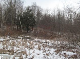 N 23rd Rd, Mesick, MI 49668