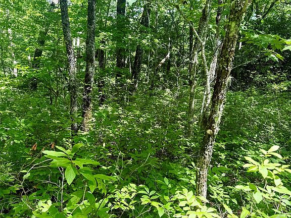 3rd image of Indian Lake Rd #32