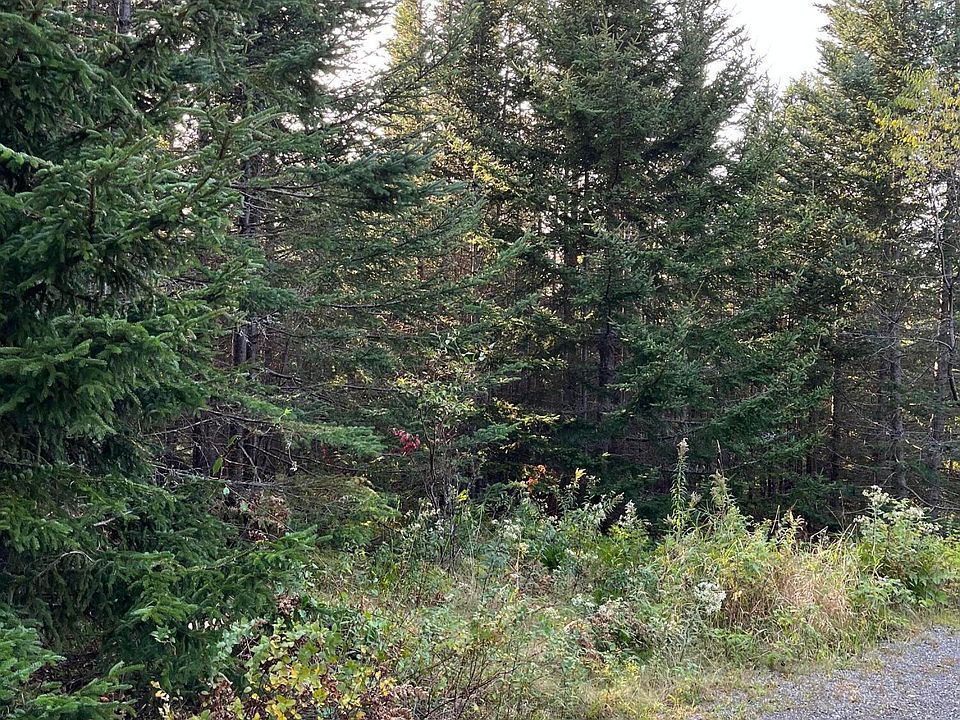 2nd image of 000 Pams Way
