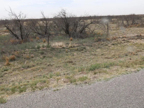 4709 W Sumruld Rd, Lovington, NM 88260